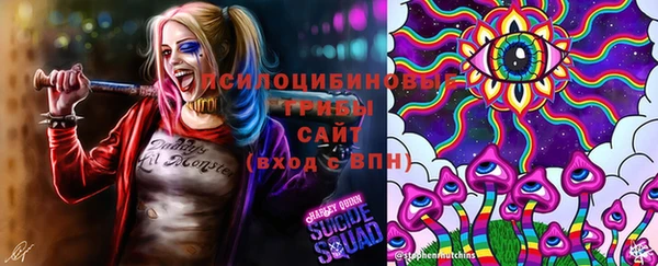 гидропоника Баксан